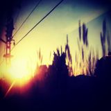 Pop Insomne Vol. 1