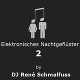 Elektronisches Nachtgeflüster 2
