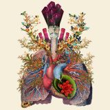 Artery of Sound