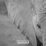 Eclectic Soul 34 w/ fLako, Mount Kimbie, Mingus Big Band, Bambooman, peet and more