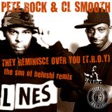They Reminisce Over You (T.R.O.Y) - The Son Of Belushi Remix (2015)