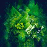 Words On Tracks /54 feat. Digitonal
