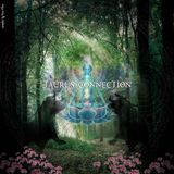 TAURUS Set 2014 Connection By Purio