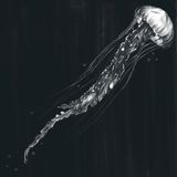 April Mix 2013