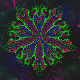 Headnote @ Holographic Universe-Alternative Stage 22.08.15_12-15 Uhr