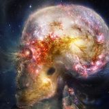 C&S Presents Phsycadellic F**ck Head