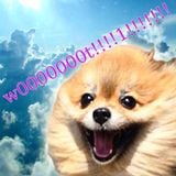w00000t!!!!!!!