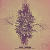 Roel Funcken - RerCury MetroGrade