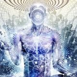Shark Finn Soup - Intense Psy/Tech (Elysian Circus appliacation mix)
