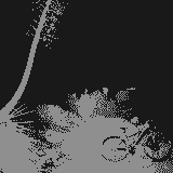 folk down 005