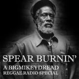 Bigmikeydread Reggae Radio - Spear Burning