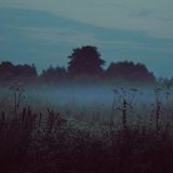 WinterCast#8: I Will Find You In The Darkness
