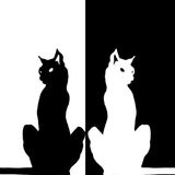 Snatch DnB - Black & White