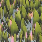Log 0044 - Glade