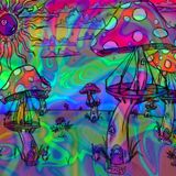 Psycho Fox - psychedelic essentials dj set