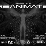 Paul Kuenzi - Live @ Igloo NYE Reanimate