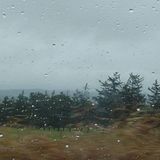 Into The Rain