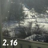 Sottobosco - 04/04/13 - 2.16