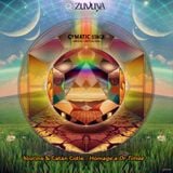 Alucine & Catan Cotie (ChillSet) - "Homage A Dr. Times" (Cymatic Stage @ Zuvuya Festival 2014)