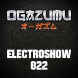 Ogazumu ElectroShow 022