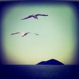 summer memories