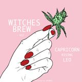 WITCHES BREW VII