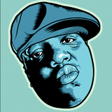 Biggie Mix - DJ Stray