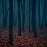 Changing Seasons
