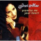 Promise Me Your Heart (Edit Mix by Paradise & Dayer)