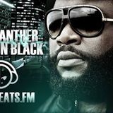 BLACK PANTHER - SENSATION BLACK (Show vom 21.07.15 - 3. Stunde) EDM Special