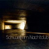 Schweiß im Nachtclub 2