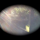Spring-yay!/St. Patty's Day/Compost Giveaway DotVV special