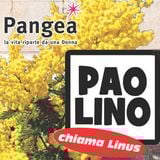 Puntata #18 PCL - 08/03/2015