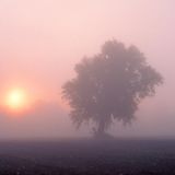 Early Morning Music Mix