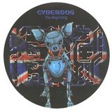 DJ Roosta - Cyberdog The Beginning (2001)