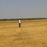 Nardò: terra di schiavi e di schiavisti moderni