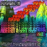 Vinyl Paradise Vol. 4 - Ambient & Lost Oldskool Mix