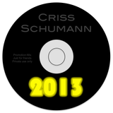 Jahresabschlussmix 2013