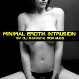 Minimal Erotik Intrusion Vol.2