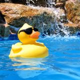 Pool Party Live Set