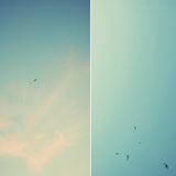 Ali Khan - Space Cushion