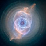Texhnolyzed - Universal Citizen