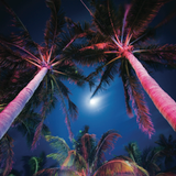 SELECTA BLIGHT 2013 SUMMER MELLOW MIX