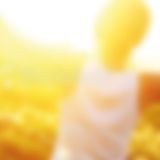 Headnotes-31-2012 | Filigran | tranquility is beautiful force