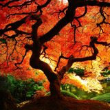 OctoberMix.1