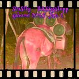 SinSily - BASSgalopp @ home (20jan2015)