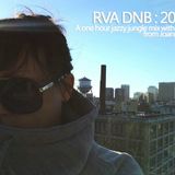 RVA DNB 2013