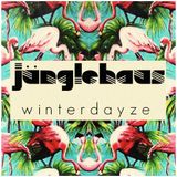Winterdayze