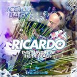 dj Ricardo @ Heide Beach Club 28-06-2015