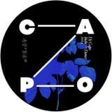 Rock Nights Radio Vol.98 - DJ Capo: Indie Dance 2014